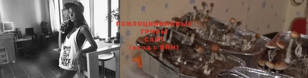 дурь Инсар