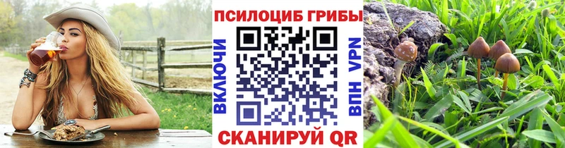 Галлюциногенные грибы мухоморы OMG рабочий сайт Нововоронеж